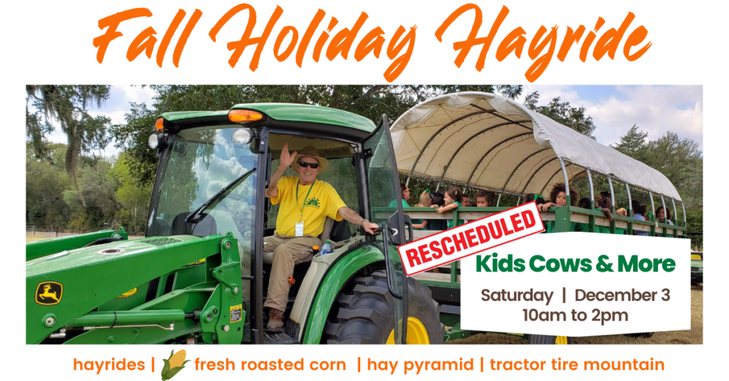 NEW DATE Fall Holiday Hayride Flyer